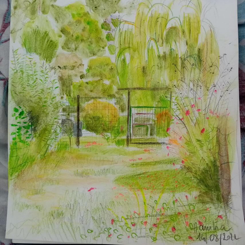 croquis jardin
