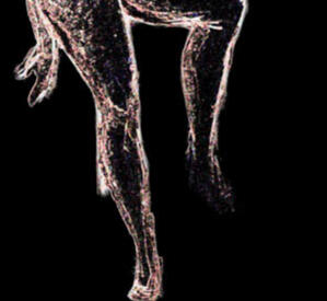 jambes lumière