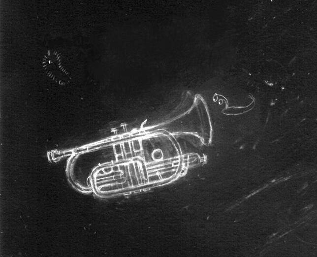 cornet negatif