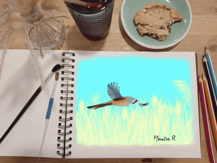 Dessin oiseau qui prend vie Dessin oiseau qui prend vie